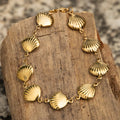Seashell Collection